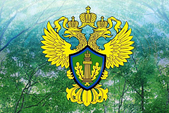 Межрайонная природоохранная прокуратура г. Москвы разъясняет: Досрочный выход на пенсию для многодетных матерей