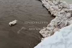 Организована проверка в связи с возможным загрязнением водного объекта